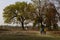 Indian village boys going for playing cricket on summer days