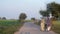 An Indian village couple going for a walk on a village road with a bicycle - a village scene