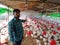 an indian village farmer presenting hen birds around poultry farmhouse area in india dec 2019