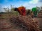 Indian village farmer women banding wooden logs with at beautiful blue sky background in india January 2020