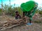 Indian village farmer women banding wooden logs with little boy support at beautiful blue sky background in india January 2020