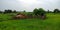 Indian village heritage house around agriculture green field