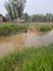 Indian village ponds` image and  boy is having bath