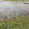 Indian  village  water lake with water harvesting