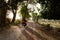 Indian villager with his wife going to buy new cloths for his son on motorcycle on summer days