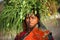 Indian villager woman carrying green grass