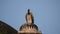 Indian Vulture or long billed vulture or Gyps indicus close up or portrait at Royal Cenotaphs