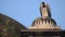 Indian Vulture or long billed vulture or Gyps indicus close up or portrait at Royal Cenotaphs