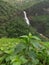 Indian waterfall with green tree