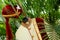 Indian wedding groom dress hanging on tree