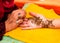 Indian wedding guest having mehndi applied to palm of hand. Traditional henna art.