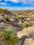 Indian Wells Trail in Alamogordo, New Mexico