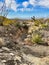 Indian Wells Trail in Alamogordo, New Mexico