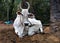 Indian white cow resting on the ground