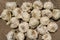 Indian white garlic . Garlic helps build immunity and healthy food