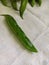 Indian winter seasonal vegetables flat green beans