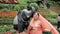 Indian woman flaunting scarf in garden