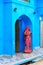 Indian woman near arch on the street in Bundi. India