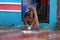 Indian woman poses flour sign Rangoli on his doorstep, filmed in the city of Rameswaram, India, in December 2013