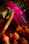 Indian woman with pots of Delhi, India