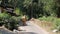 Indian woman in sari is walking along a village street with an empty basket