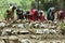 Indian women building terraces in vegetables garden