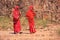 Indian women in colorful saris walking at Ranthambore Fort, India