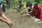 Indian women composting vegetable garden