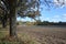 Indiana Farmhouse in Autumn