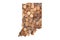 Indiana State Map and Money Concept, Piles of Coins, Pennies