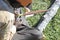 Indigenous Australians aboriginal craftman making a  a wooden Australian Aboriginal spear