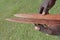 Indigenous Australians aboriginal craftman making a  a wooden Australian Aboriginal spear