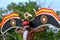 Indigenous Australians aboriginal man dancing a cultural ceremony dance