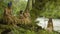 Indigenous family walking through the amazon rainforest