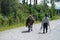 Indigenous farmer leading a horse