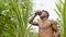 Indigenous man drinking sugarcane juice