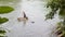 Indigenous man sailing with a wooden raft a river