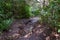 Indigenous mountain hike in Uruguay, South America