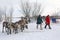 The indigenous people of Northern Siberia the Nenets winter day