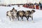 Indigenous people of Northern Siberia Nenets winter day at traditional competitions