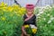 Indigenous people in northern Thailand and the collection of chrysanthemums in garden