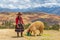 Indigenous Quechua Lady with Alpaca, Peru
