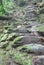 Indigenous stone stairs to Ciudad Perdida archeological site