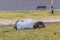 Indigent Slepping at Grass in Park