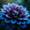 Indigo Dahlia Flower, Macro Photography by Generative AI