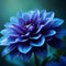 Indigo Dahlia Flower, Macro Photography by Generative AI