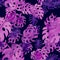 Indigo Monstera Pattern Plant. Seamless Painting. Violet Watercolor Design. Pink Tropical Painting. Purple Floral Garden. Summer B