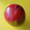 Individual Mango against a Colorful Background