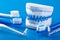 Individual plaster dental molds and toothbrushes