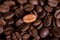 Individuality, standing out from a crowd concept, close up of a single bright, gold coffee bean over many dark ones with copy spac